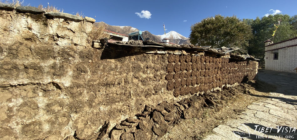 Yak Dung, local fire fuel, drying on a wall in Dadong Village