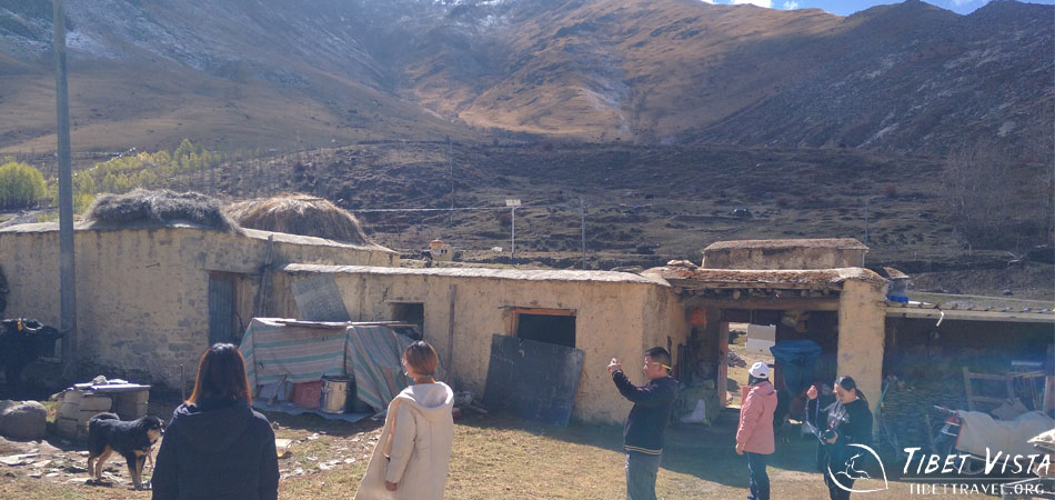 Exploring the traditional courtyards of local homes in Chuxi Village
