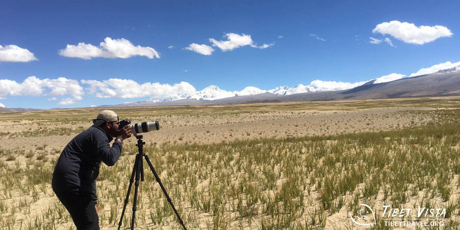  Autumnal landscapes in Tibet