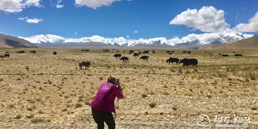  Autumnal landscapes in Tibet