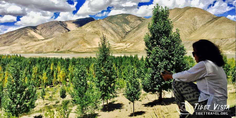  Autumnal landscapes in Tibet