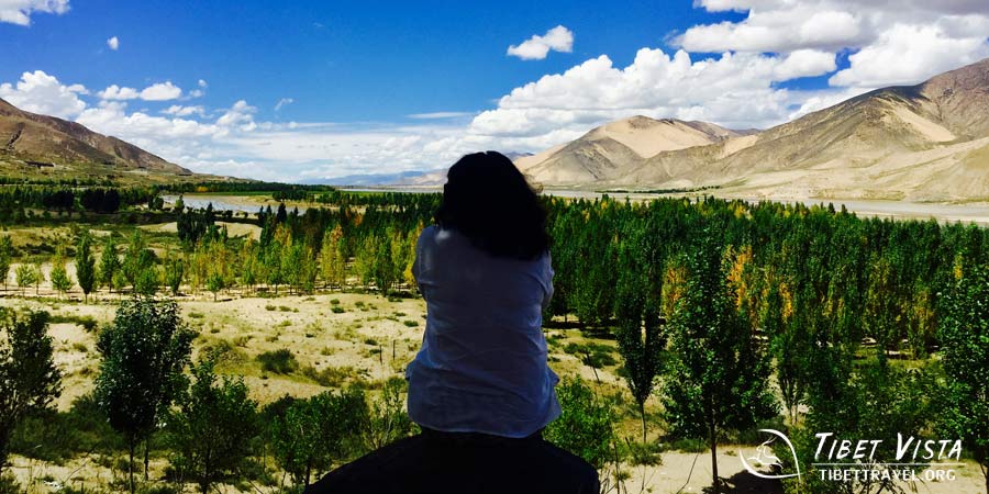  Autumnal landscapes in Tibet