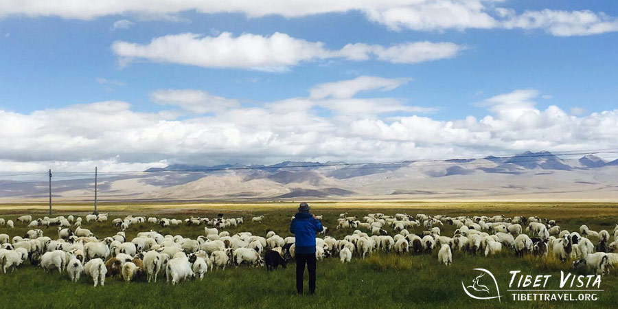  Autumnal landscapes in Tibet