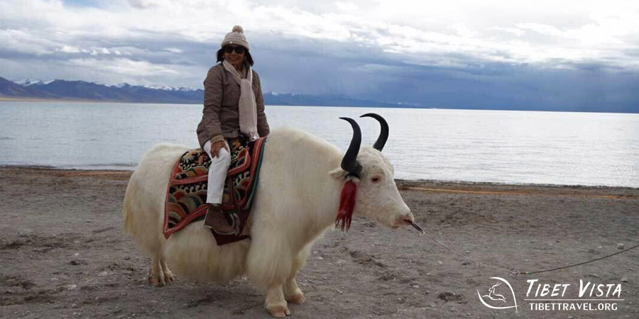  Autumnal landscapes in Tibet