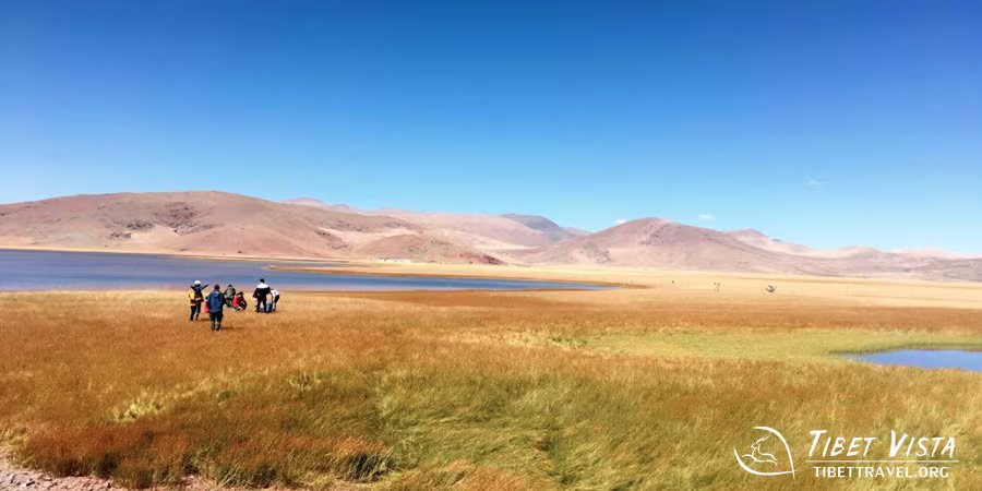  Autumnal landscapes in Tibet