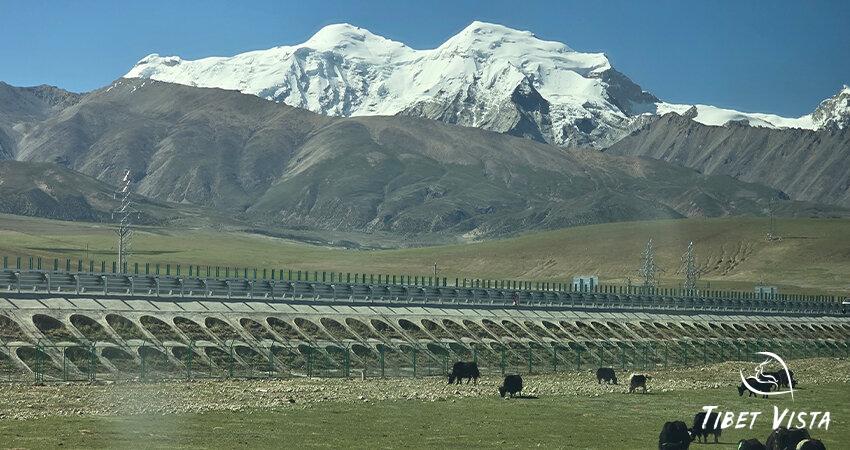 Beautiful scenery along the Qinghai-Tibet Railway