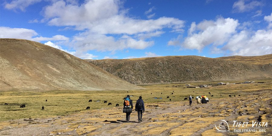 Arrived at a Nomadic Village