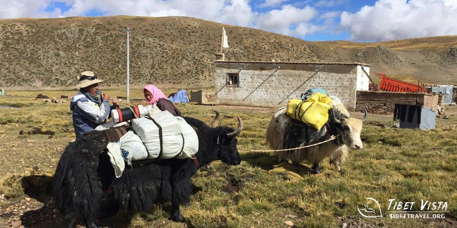 Keep Moving to Dorje Ling Nunnery