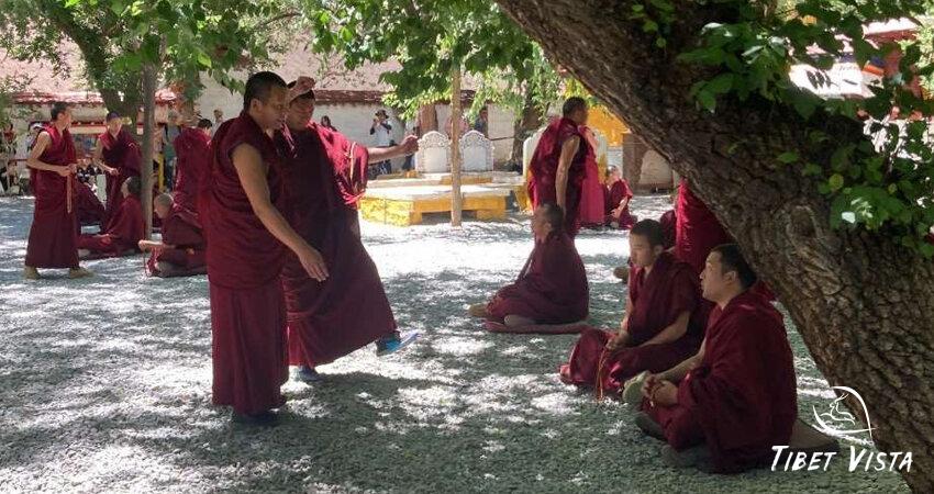 Sera Monastery Monks Debate