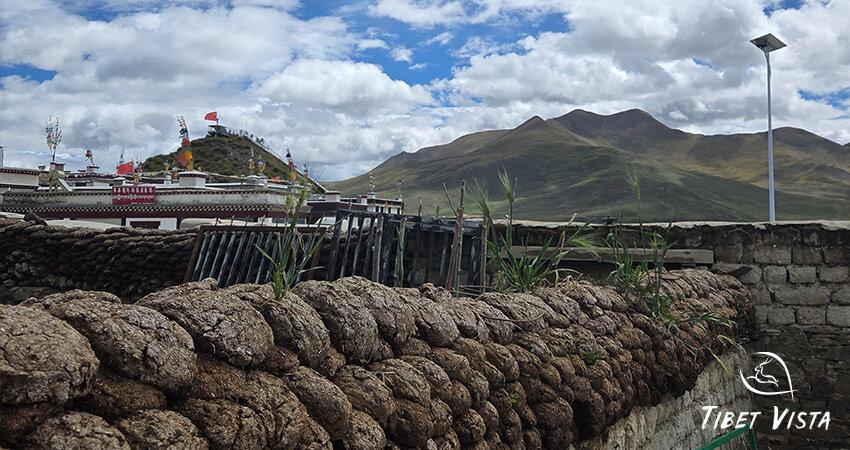 Tibetan House Yak Dung Wall