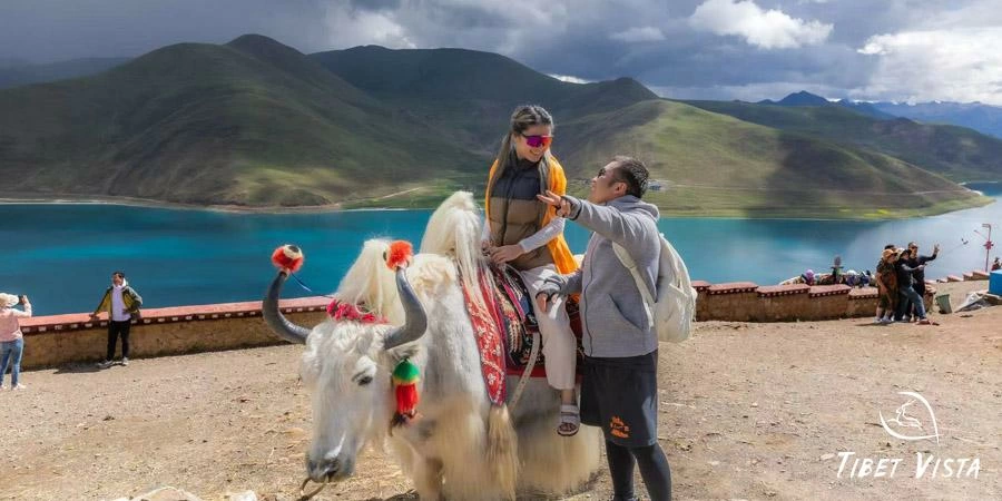 Memorable Moments with Yaks and Tibetan Mastiffs