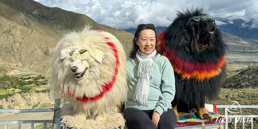 Memorable Moments with Yaks and Tibetan Mastiffs