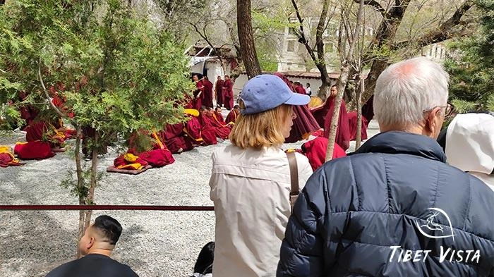 Watch the lively monk debates at Sera Monastery.