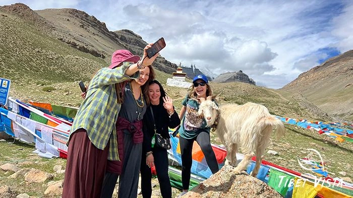Encounter the adorable Tibetan goats during the Mount Kailash Kora.