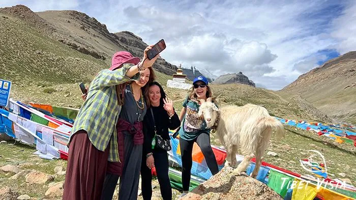 Tibetan animals on Mt.Kailash trek
