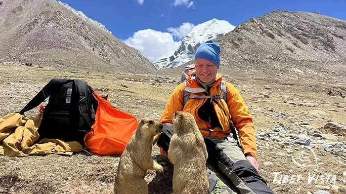 Tibetan animals on Mt.Kailash trek