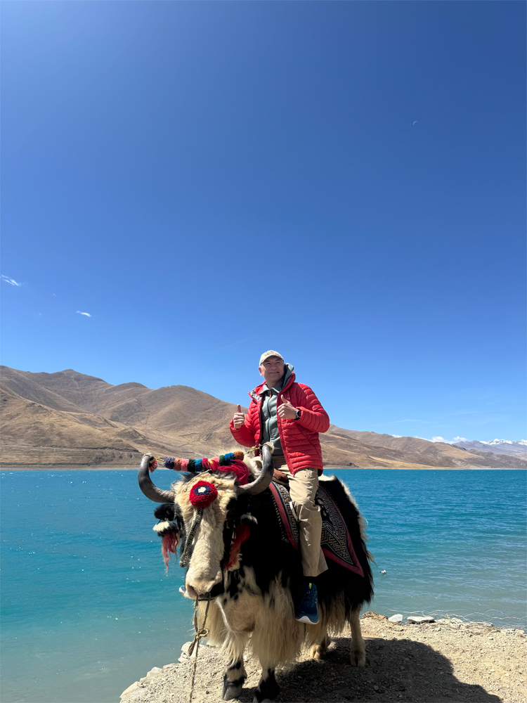 Traveler riding a yak by Yamdrok Lake in Tibet