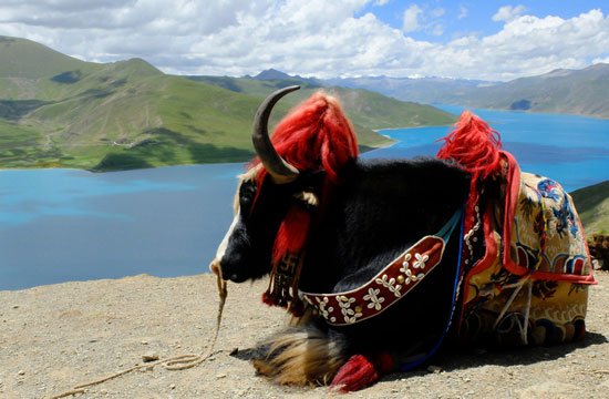 Tsedang Tour