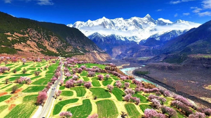 The scenery of peach blossoms in Linzhi