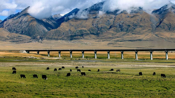 Qinghai-Tibet Railway scenery