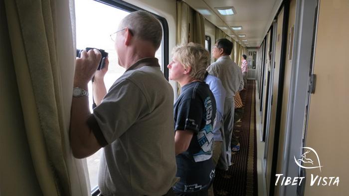 Tibet train tours for Overseas Tourists