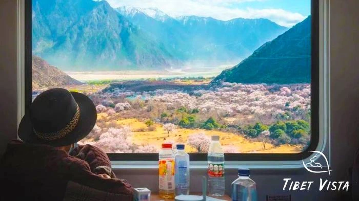 Enjoy beautiful scene in Lhasa to Nyingchi High-Speed train