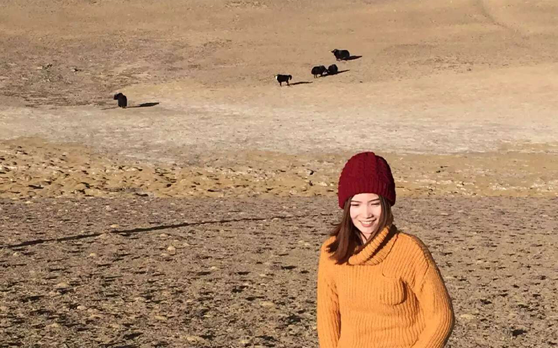 Enjoy Tibet&rsquo;s vast landscape with grazing yaks.