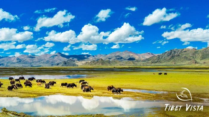Pictures of Tibetan Plateau