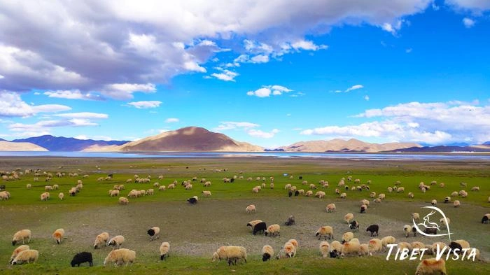 Pictures of Tibetan Plateau