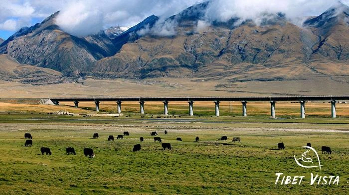 Pictures of Tibetan Plateau