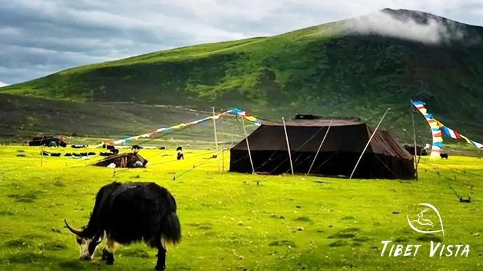 Pictures of Tibetan Plateau