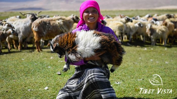Pictures of Tibetan Plateau
