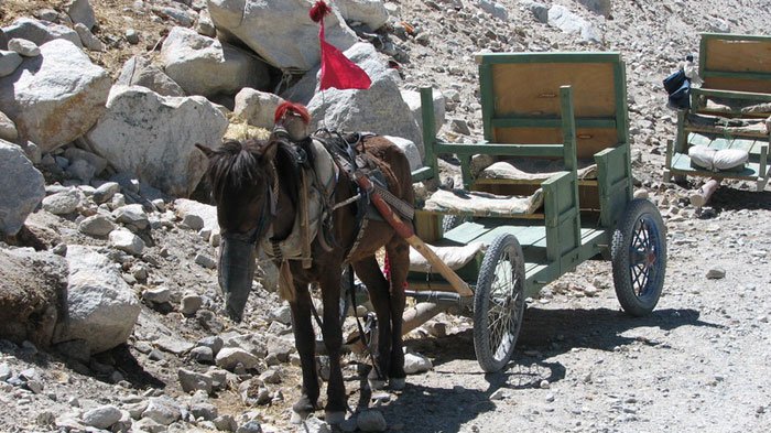 Horse Cart at EBC