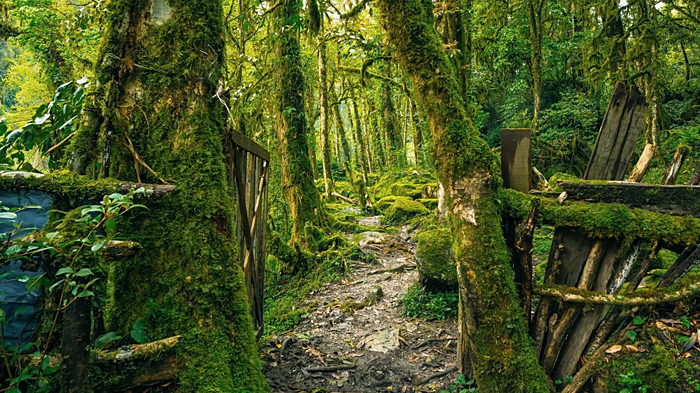 Motuo trekking trail