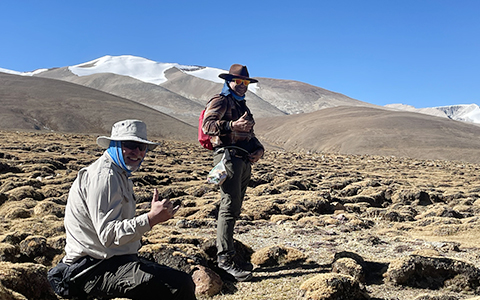 Top 10 Tibet Trekking Routes: Most Classic and Recommended in 2025