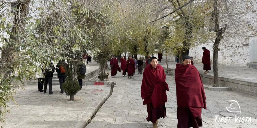 Sera Monastery in winter