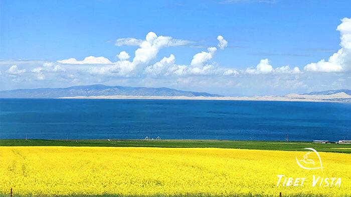 Qinghai lake in August