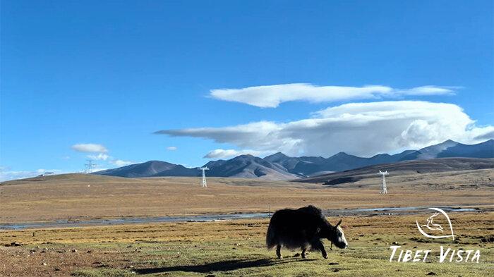 Stunning natural views of along the Qinghai-Tibet highway