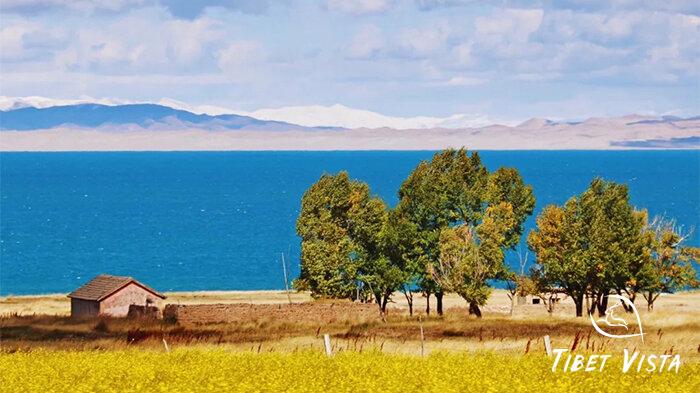 Scenery of Qinghai Lake